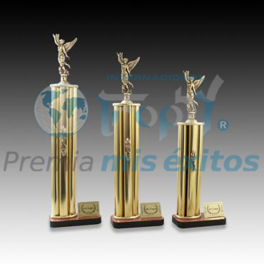 Trofeos Competens 50, 45 y 40 cm