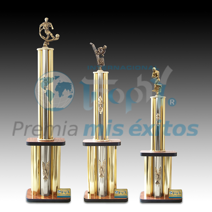 Trofeos Competens 80, 70 y 60 cm