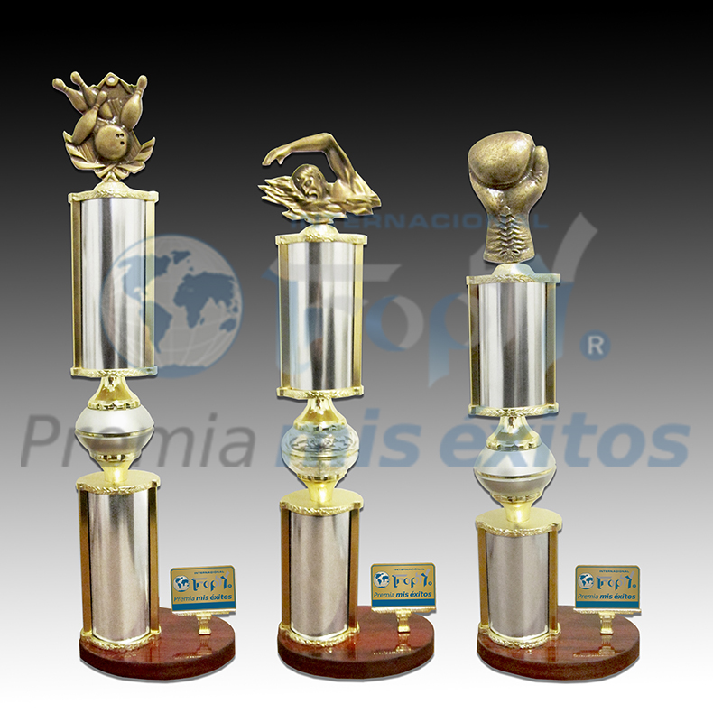Trofeos Diamante Incluye GRATIS la elaboración de placas con textos y logotipos a color (con restricción en medida) en la compra de los diplomas...